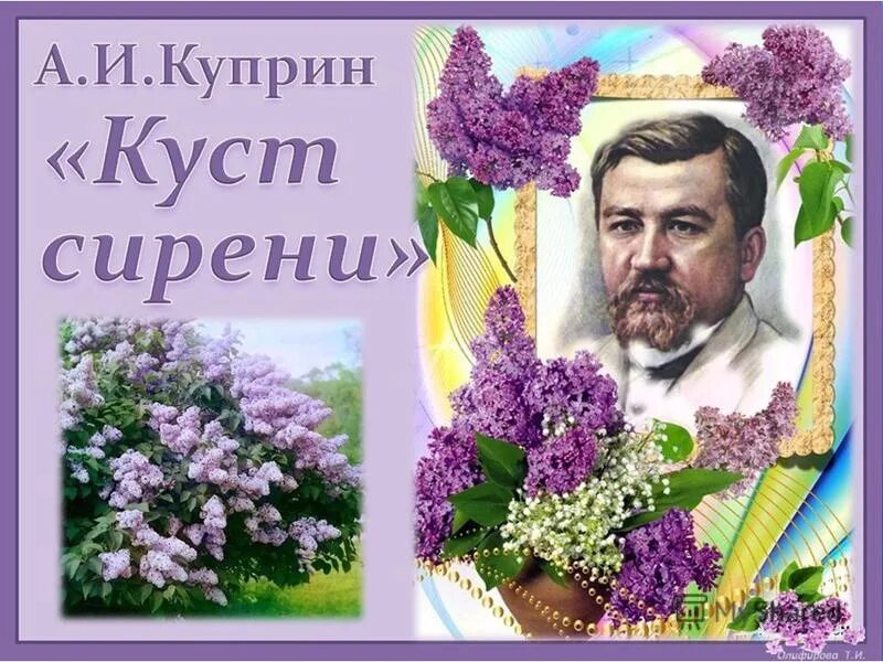 Эпизоды рассказа куприна куст сирени