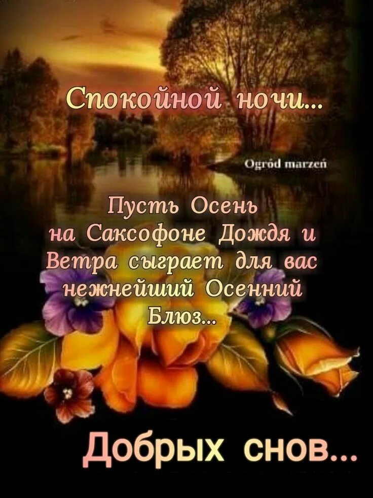 Доброй осенней ночи. Осенние пожелания спокойной ночи. Добрых осенних снов. Спокойной ночи осень. Спокойной ночи осень.