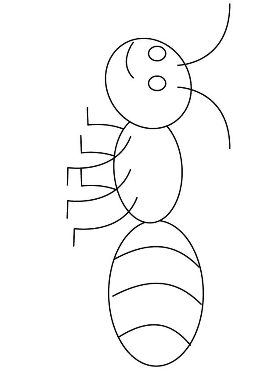 Насекомые раскраска для детей 3 4 лет. Насекомые раскраска для детей. Раскраска насекомые для дошкольников. Насекомые для дошкольников рисование. Рисование насекомых дошколятам.