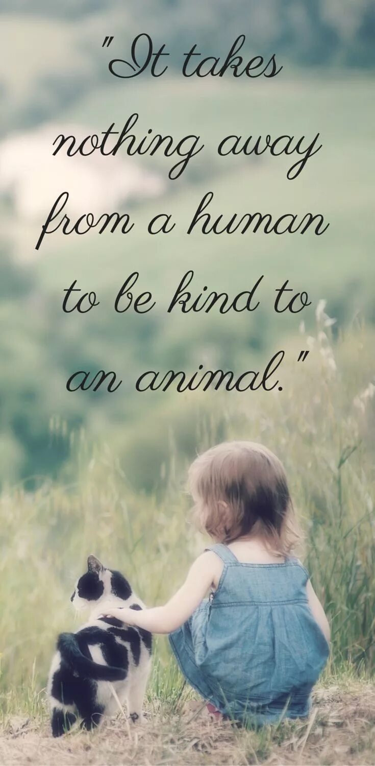 Kindness to animals. Дети и животные цитаты. Animals quotes. Афоризмы про детей и животных. Животные милые с Цитатами.