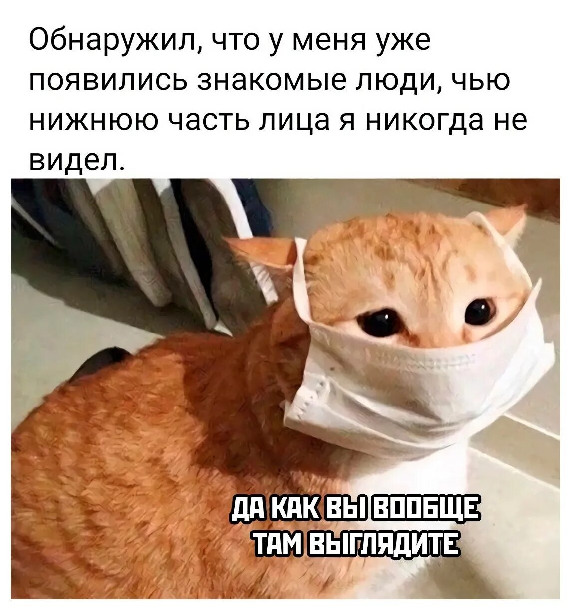 Где теперь будет работать