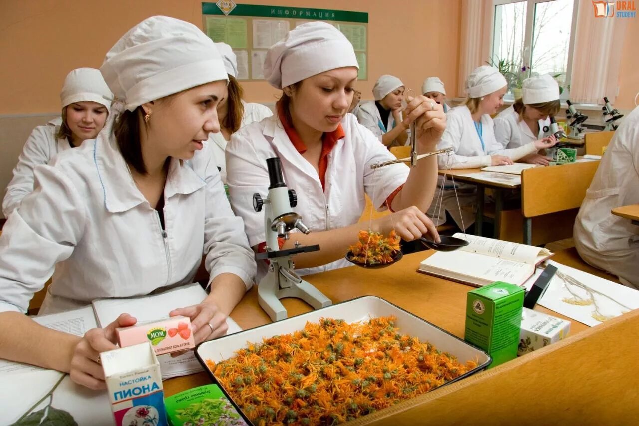 Можно пройти курсы