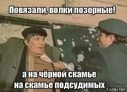 Волки позорные откуда