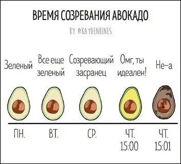 Сколько созревает авокадо