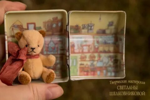 Teddy 5