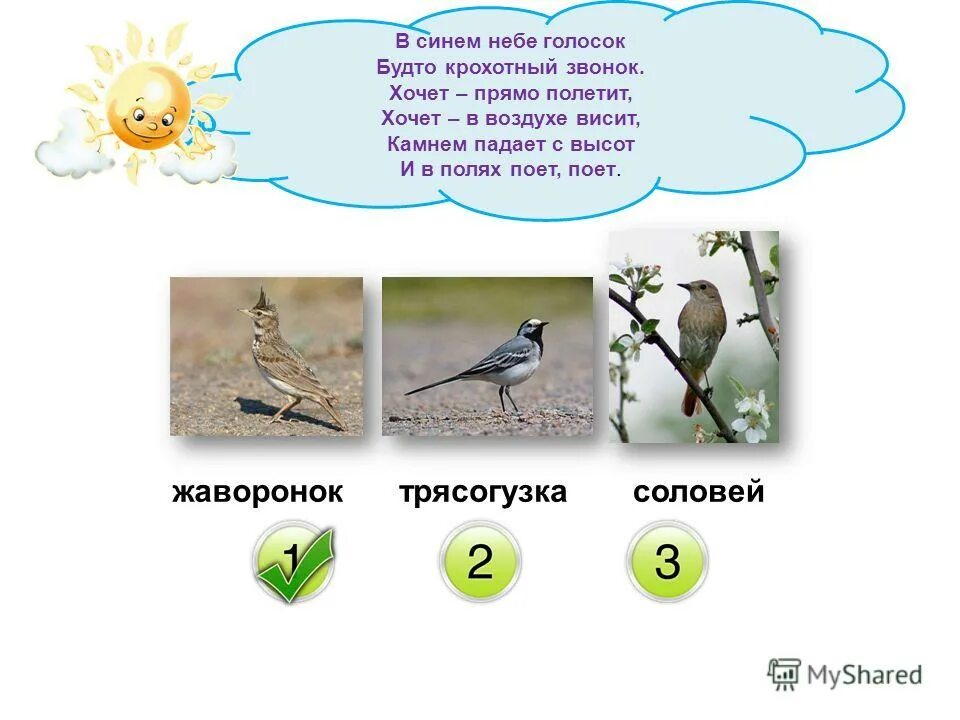 Загадка в небе синем голосок будто крохотный. В синем небе голосок. Загадка в небе синем голосок будто крохотный. Жаворонок в небе. В синем небе голосок будто крохотный звонок.