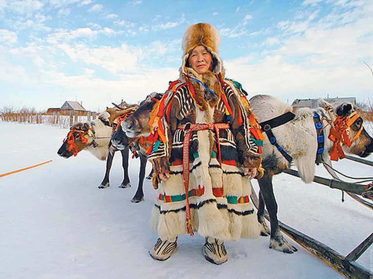 Ненцы Ханты манси чукчи. Якуты, чукчи, Ханты, ненцы. Народы севера ненцы. Национальная одежда народов севера ненцы.