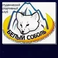 шуба из белого соболя. Fox fur coat eva. саша меллстрой. блоггер белый соболь. отель белый соболь лого.