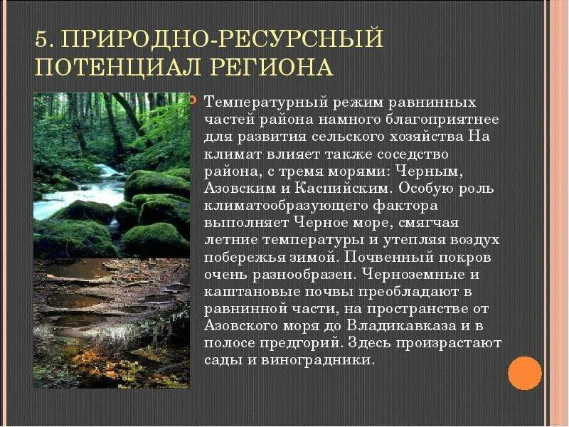 Природно-ресурсный потенциал. Природно-ресурсный потенциал региона. Природно-ресурсный потенциал территории это. Природные ресурсы потенциал. Природный потенциал территории россии