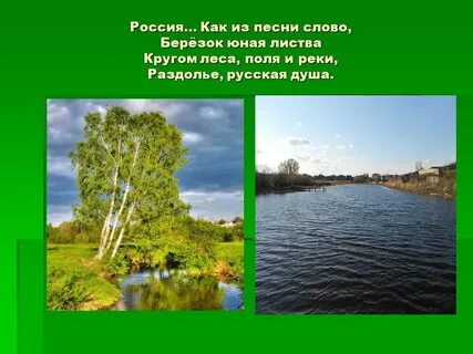 Текст песни леса поля и горы