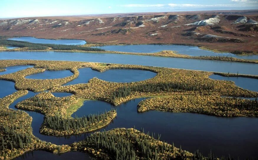 Какая самая длинная река в северной америке. Река Маккензи Канада. Северная Америка река Маккензи. Дельта реки Маккензи. Озеро Маккензи Канада.