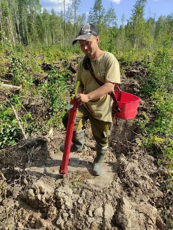 сау лесного хозяйства во вологдалесхоз