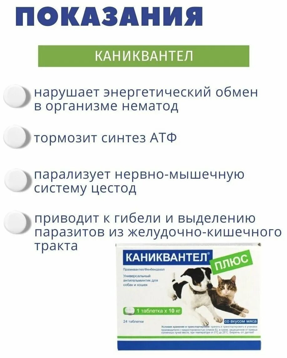 Каниквантел для кошек купить. Каниквантел для собак. Каниквантел для котят. Каниквантел плюс. Каниквантел плюс для щенков.