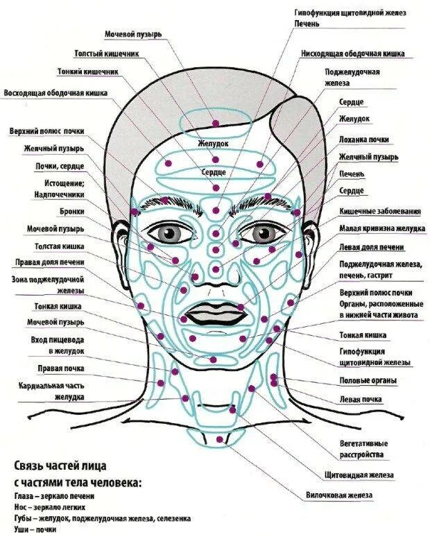 Точки около глаз. Прыщи на лице зоны внутренних органов. Прыщи на лице по зонам у женщин о чем говорят. Схема прыщей на лице. Прыщи на лице причины по зонам у женщин.