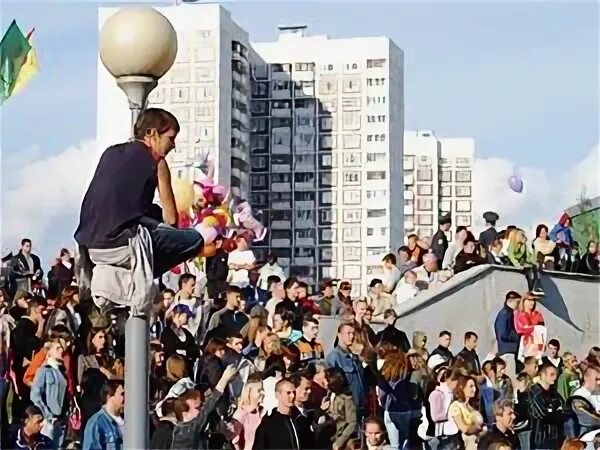 Культура зеленограда. Культура зеленограда