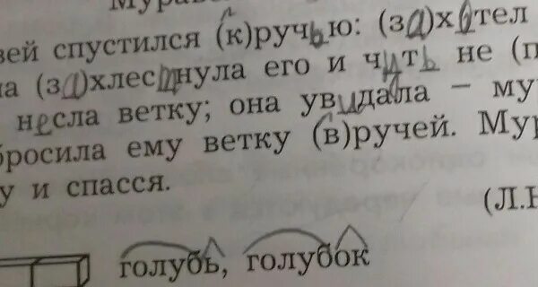 Муравей спустился к ручью. Муравей спустился к ручью захотел напиться. Муравей спустился к ручью захотел напиться текст. Муравей и Голубка толстой. Муравей сел на ветку и спасся волна