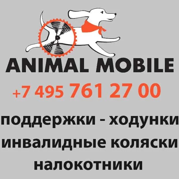 Энималз мобайл. Animal mobile коляска для собак.