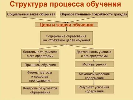 Структура подготовки студента