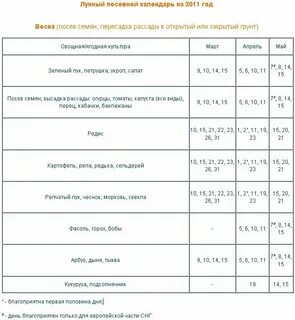 Пересадка цветов в октябре 2024 года