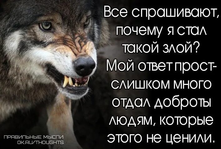 Люди становятся злыми. Все спрашивают почему я стала такой злой. Все люди злые. В мире много зла