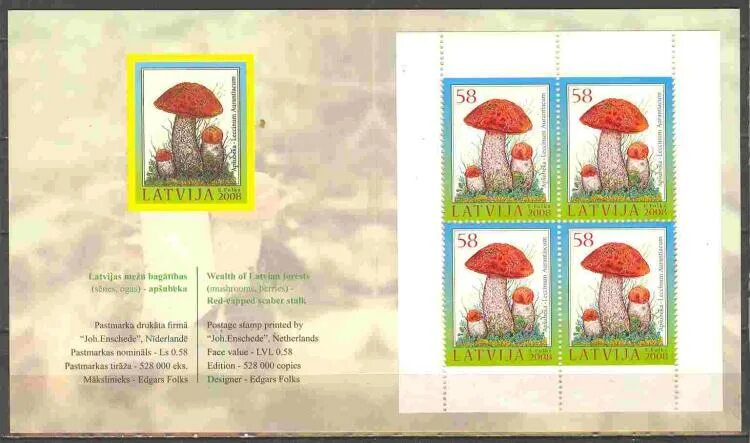 ядовитые растения и грибы. грибы брошюра. буклет грибы. буклет грибы. брошюра про грибы.