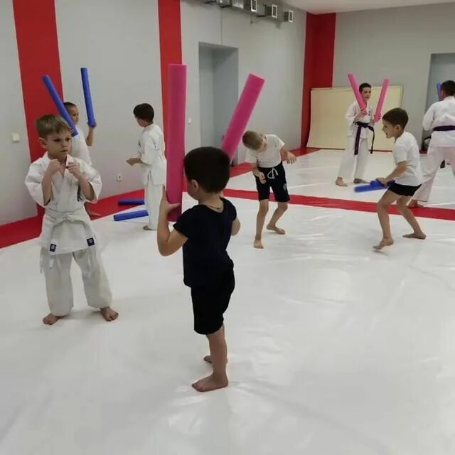 Единоборства красноярск. Пикалин роман николаевич красноярск. Боевые искусства красноярск. Федерация кудо красноярск. Единоборства красноярск.