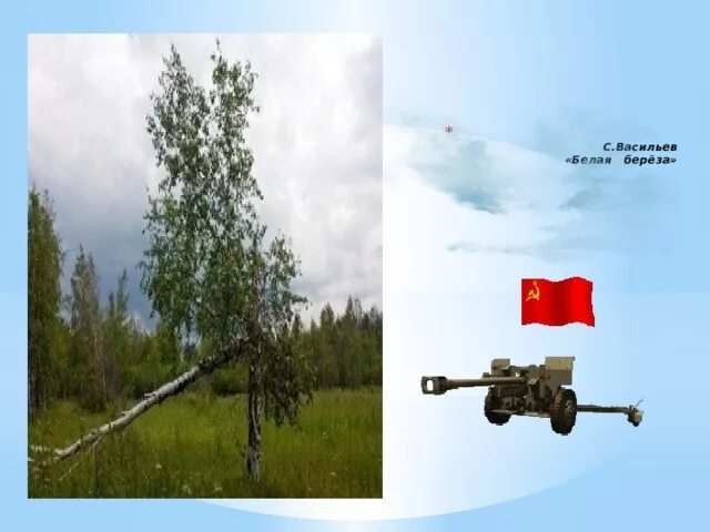 Я помню белую березу. Сергей васильев белая береза стихотворение. васильев береза. васильев я помню ранило березу. васильева белая береза.