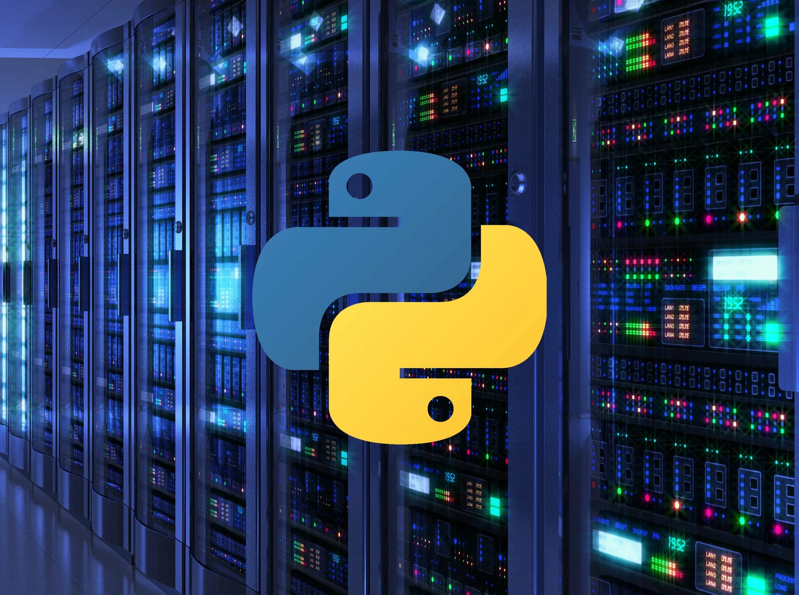 Python programming. Python. питон арт язык программирования. язык программирования питон фото. фото python программирование.