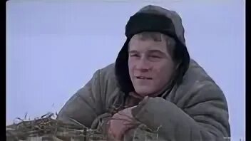 В созвездии быка 2003