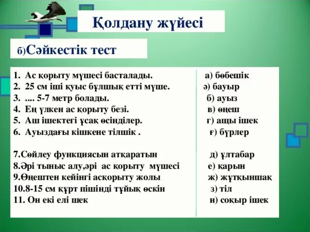 5 тест сұрақтары. Тест « АС Ч-ка в природе». Балалардағы жедел АС қорыту бұзылыстары презентация.