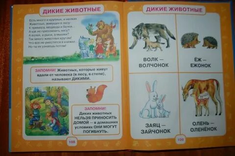 Первый учебник малыша