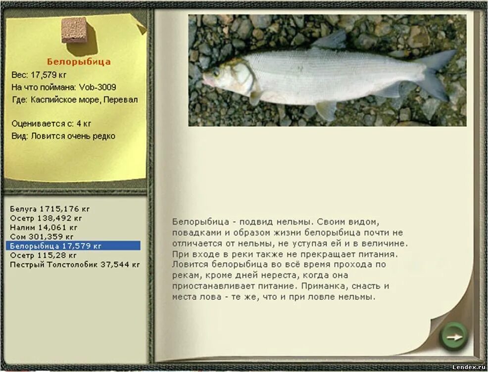 Продать белорыбицу. Продать белорыбицу