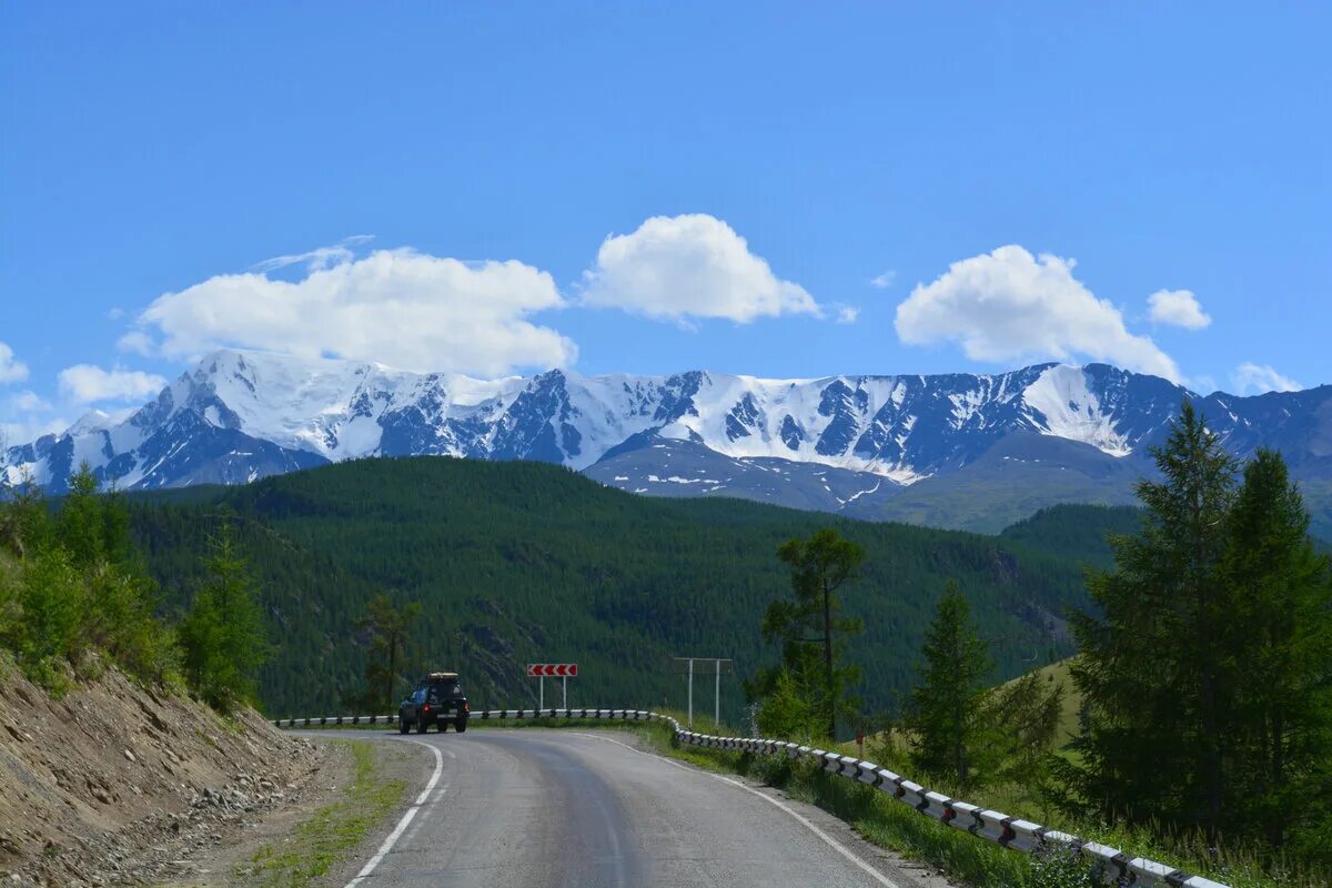 Переехавшие на алтай