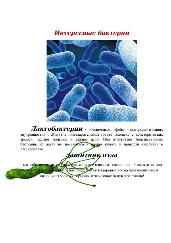 Проект-исследование "Ох уж эти бактерии" (3 класс, проектно-исследовательская де
