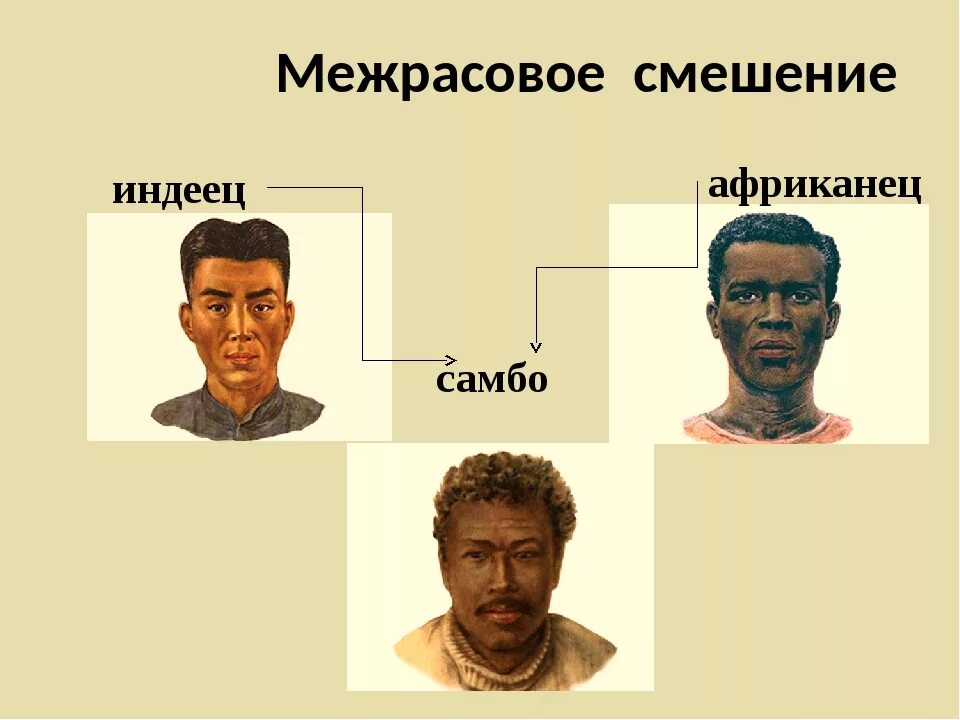 Расы Южной Америки. Самбо раса. Метис индейца и европейца. Смешанные расы Южной Америки. Потомки от браков между европейцами и индейцами