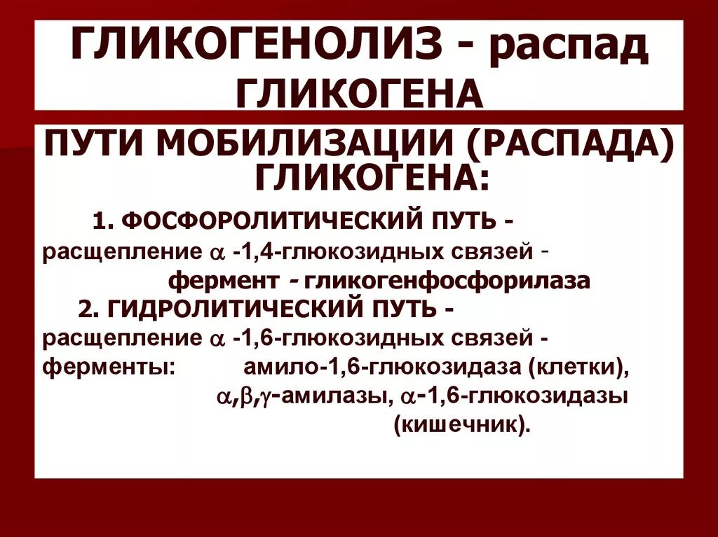 Пути распада. Пути распада гликогена. Пути расщепления гликогена. Гидролитический распад гликогена. Фосфоролитический путь распада гликогена.