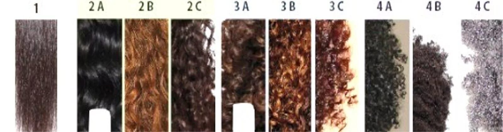 Какое происхождение волос. Types of hair a1, a2. Типы кудрявости волос. Тип волос 2б. Тип волос 1а.