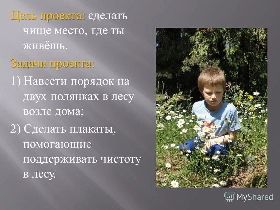 лозунги на субботник. акция сделаем мир чище. мы за чистый город. экологическая акция чистое село. баннер чистый город.