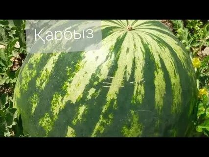 Әдемі әйел еріндерінің фотосуреттері