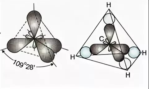 Типы гибридизации атома углерода связь. Гибридизация атомных орбиталей углерода приводит к чему?. Схема гибридизации атомных орбиталей. Тип гибридизации атомных орбиталей углерода. Sp3- и sp2- гибридизации орбиталей атомов углерода.