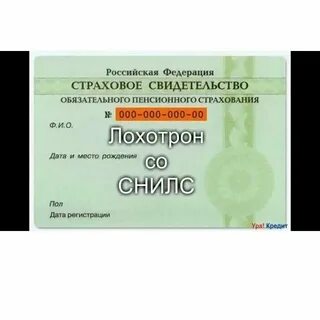 Как узнать омс по снилс
