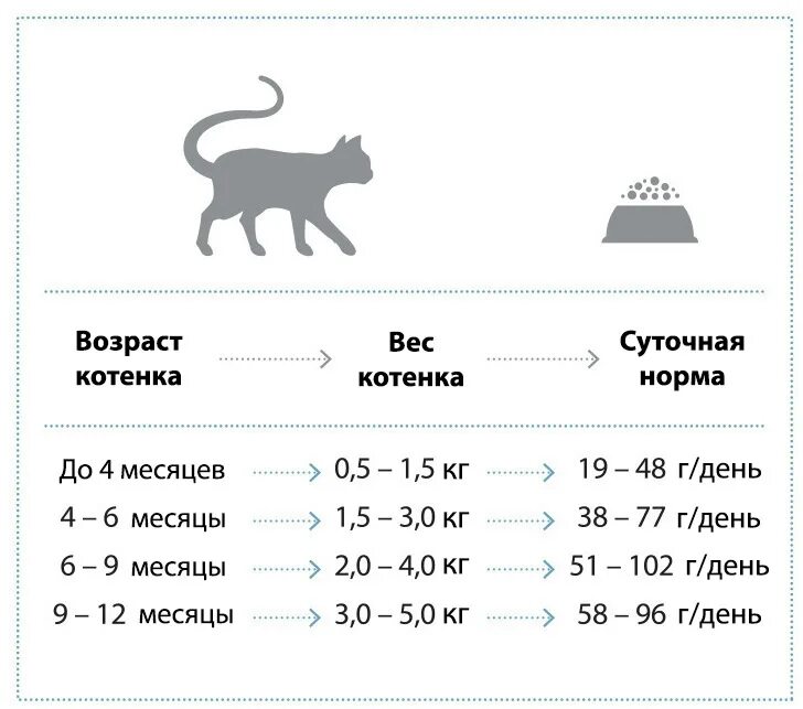 Норма веса шотландского кота. Норма кормления котов сухим кормом. Вес котенка по месяцам таблица. Таблица веса котят. Количество корма для кота