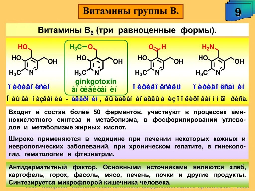Синтез витамина б. Где происходит Синтез витаминов группы в, к, с. Синтез витаминов. Синтез витаминов группы в и к. Синтез витаминов группы б.