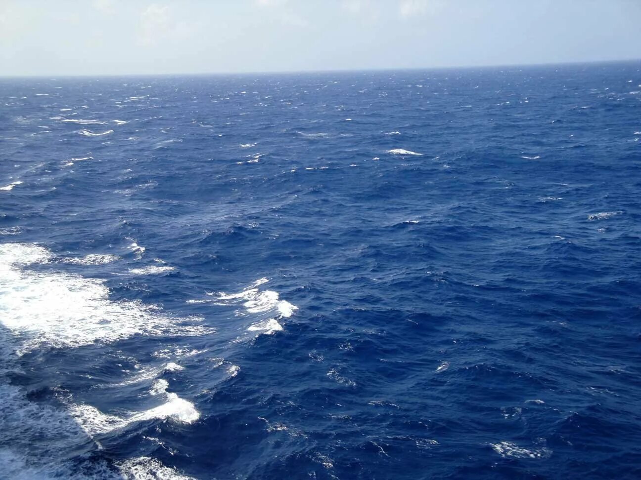Через два океана. Саргассово море в океане. саргассово море моря атлантического океана. самое большое море саргассово море. великий тихий океан.