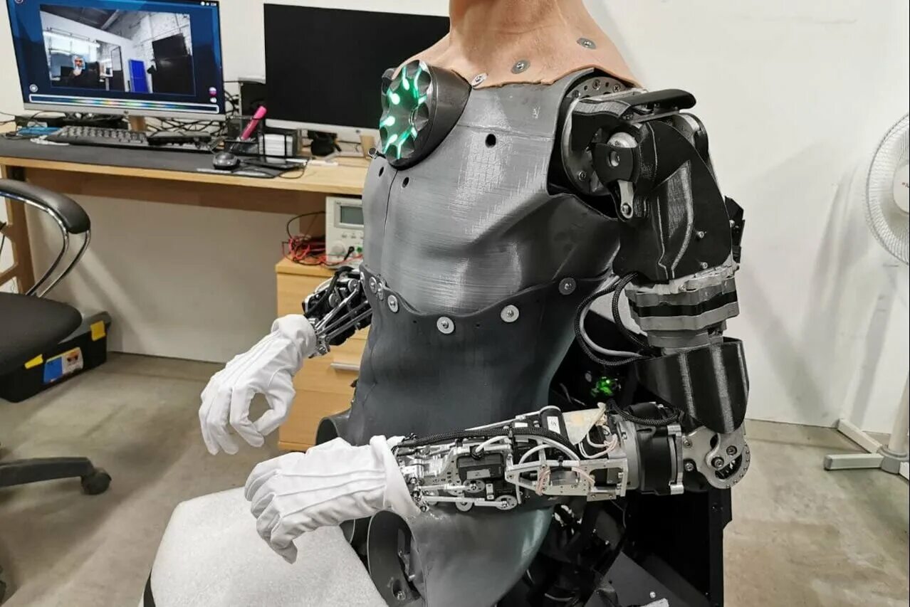 Создать robots