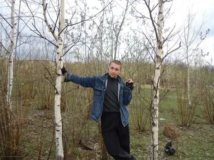 Погода карцев