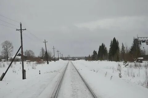 Погода мураши кировская область на 3 дня