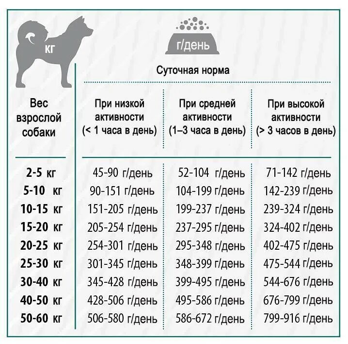 Pet таблица. Норма корма для 5мес. Щенка. Сколько грамм сухого корма для щенка 3 месяца. Норма кормления 3 месячного щенка. Сколько грамм сухого корма давать щенку в 4 месяца.