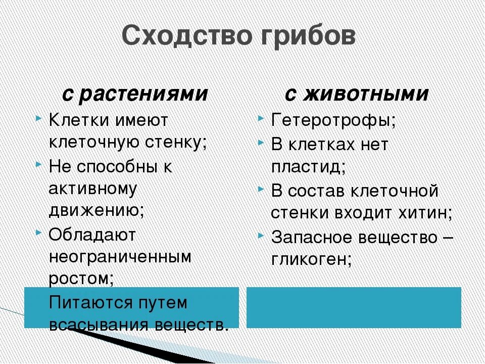 4 сходства растений и животных. Черты сходства грибов с растениями и животными. признаки сходства грибов с растениями. сходства и различия грибов с растениями и животными. сходство грибов с растениями и животными таблица 7 класс.
