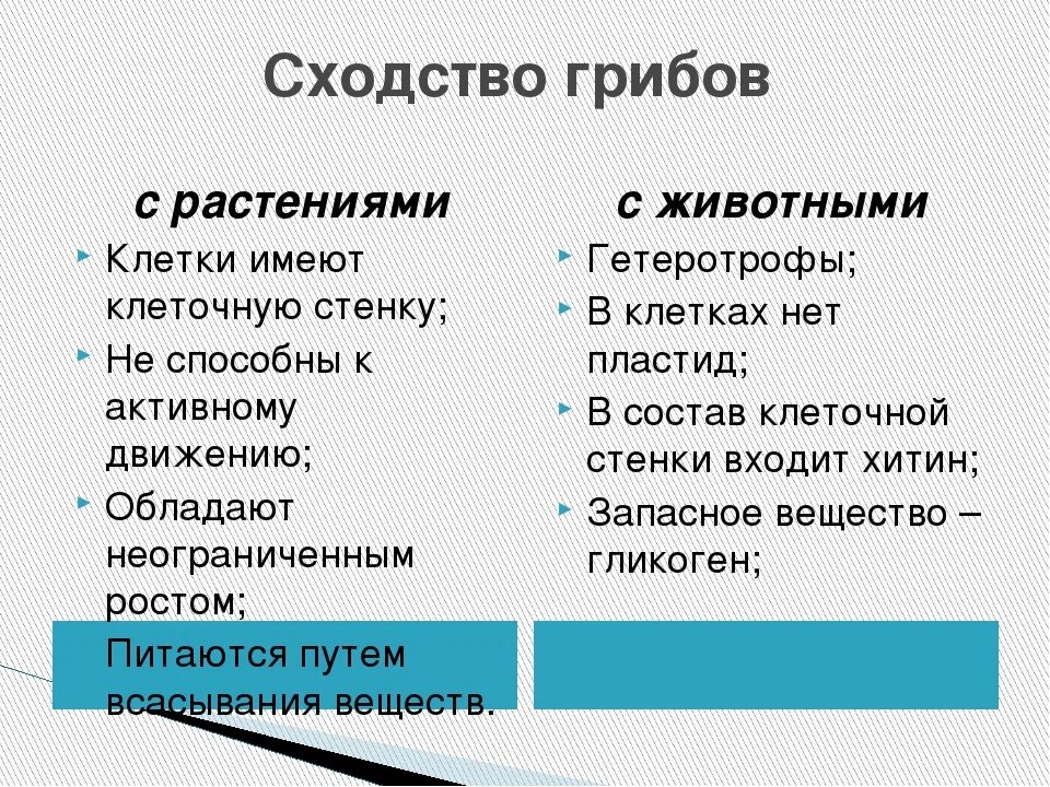 Назовите сходства. Черты сходства грибов с растениями и животными. Признаки сходства грибов с растениями. Сходства и различия грибов с растениями и животными. Сходство грибов с растениями и животными таблица 7 класс.